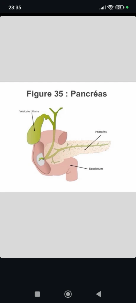 صورة لـ  Infirmière