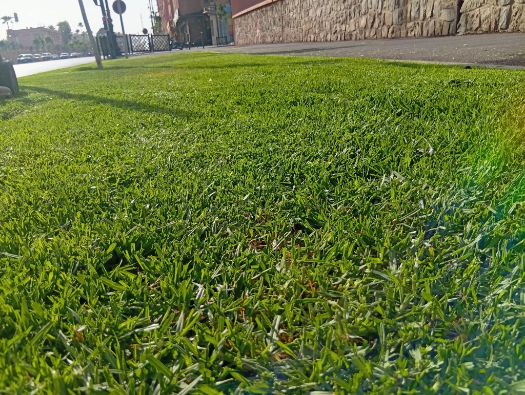 صورة لـ  جميع أنواع …