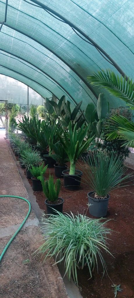 Additional image 1 of جميع أنواع …