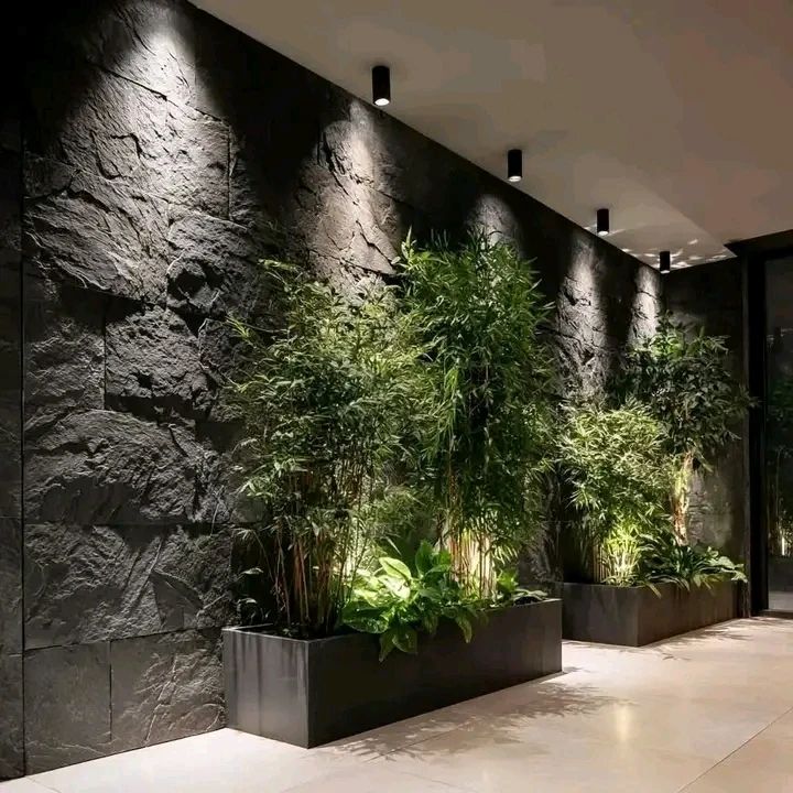 Additional image 2 of جميع التركي…