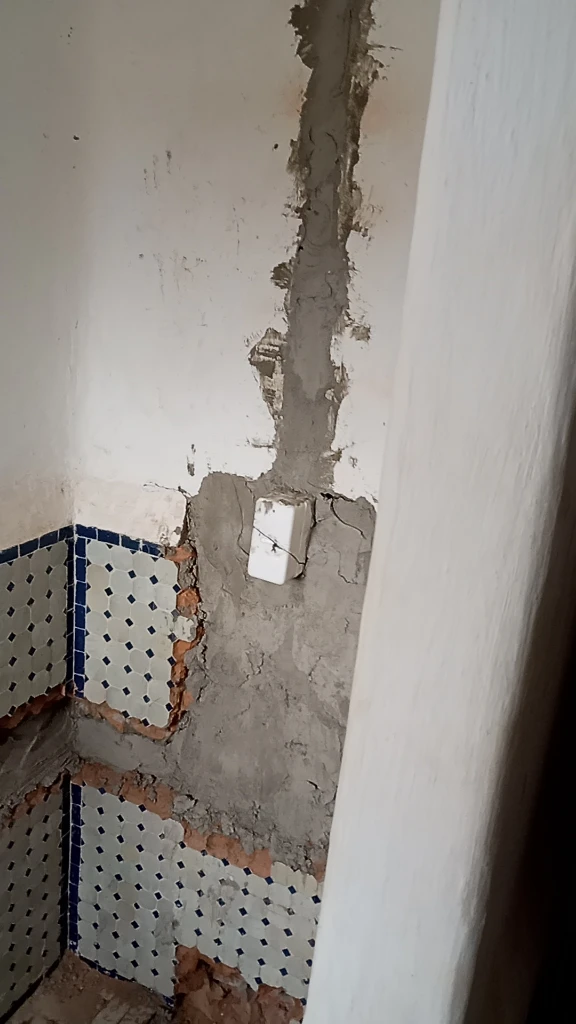 Additional image 1 of خدمة بلومبي