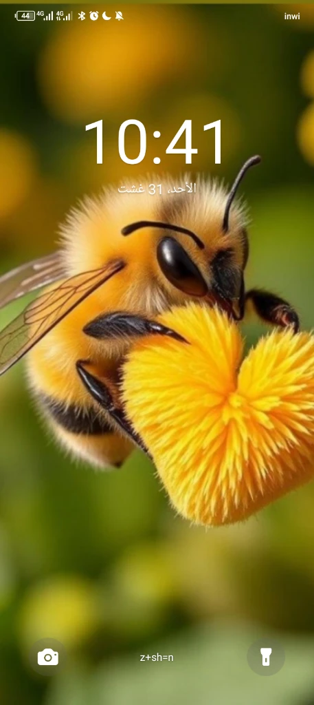 صورة لـ  ميني مسمن م…