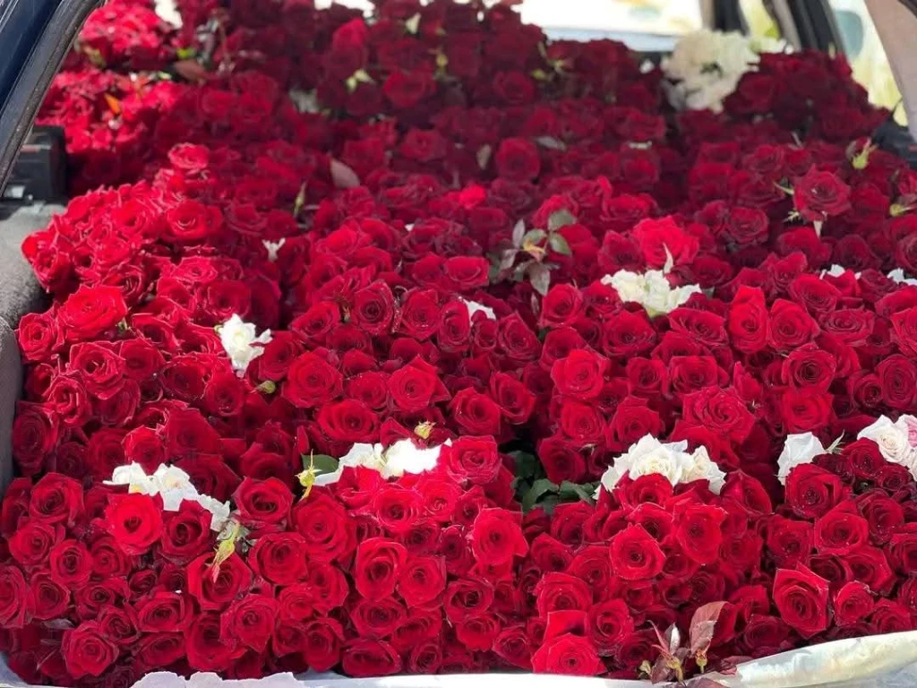 Additional image 4 of زهور طبيعية