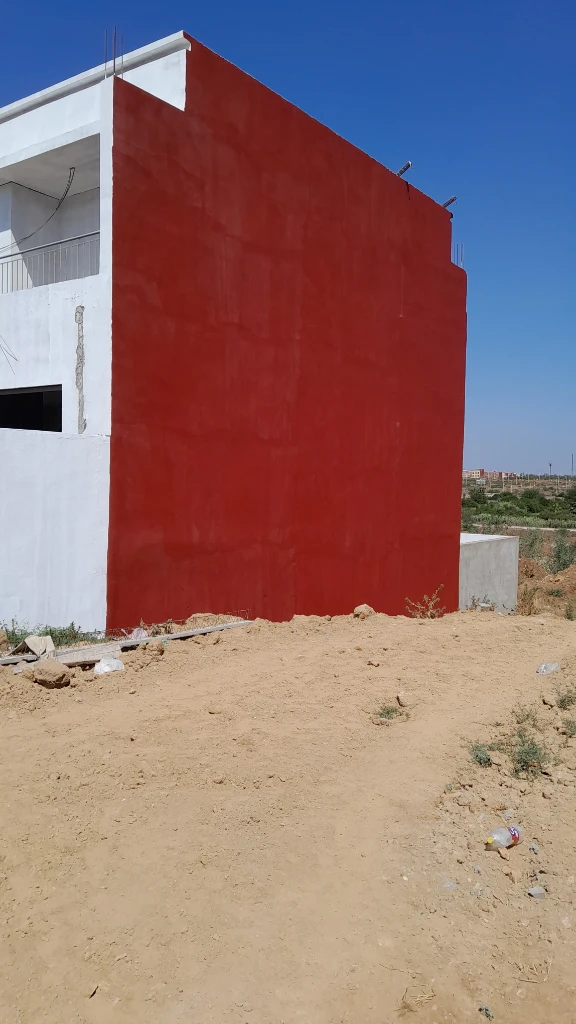 Additional image 3 of صباغة و ديك…