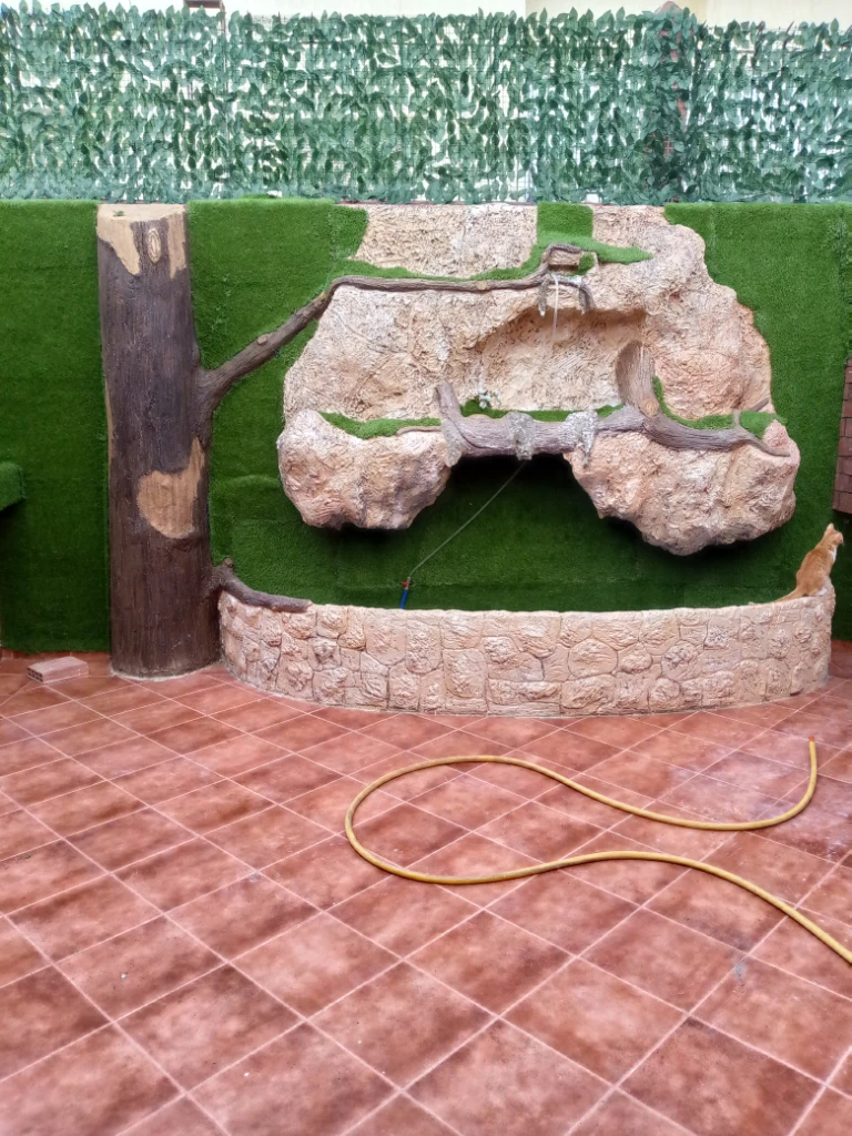 Additional image 5 of صباغة المنا…