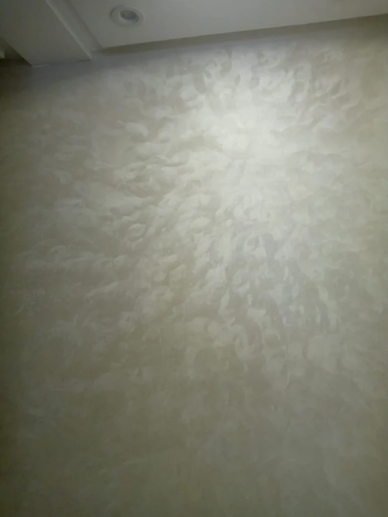 Additional image 2 of صباغ محترف