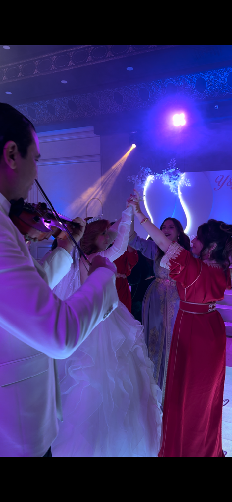 Additional image 1 of Violoniste …