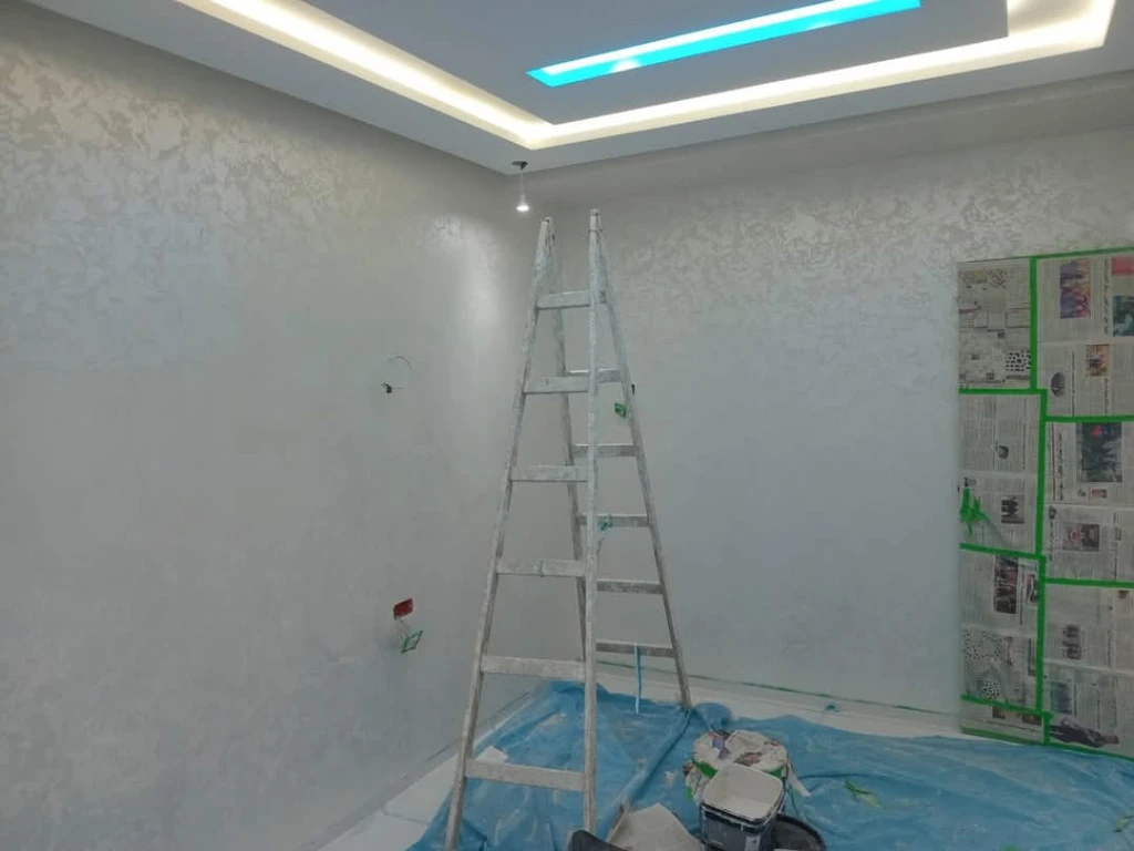 Additional image 4 of صباغة ايكول…