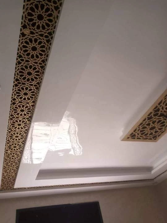 Additional image 3 of صباغة