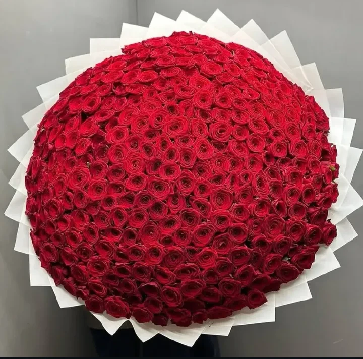 صورة لـ  Paradis of …