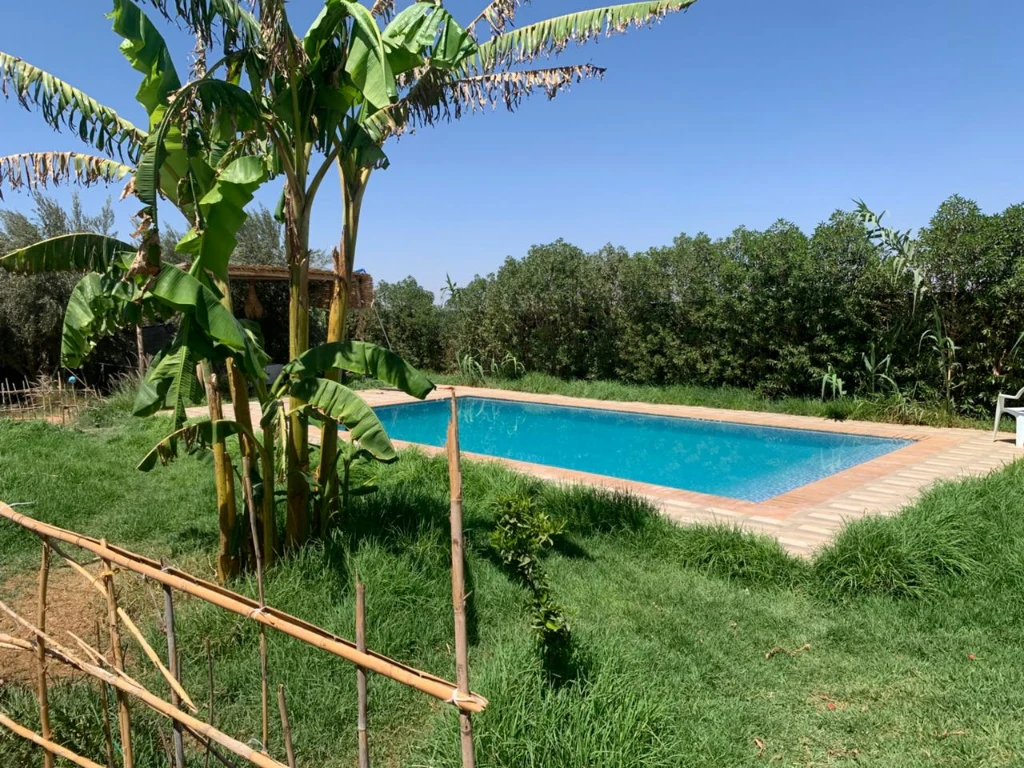 photo of دار الضيافه