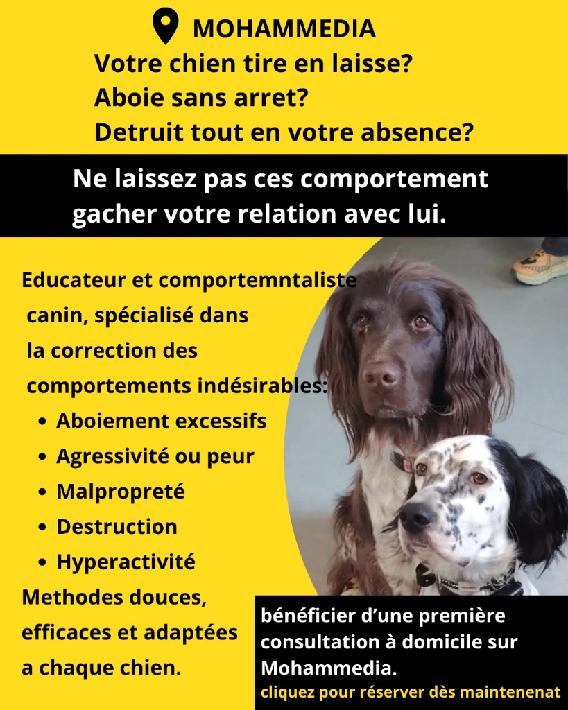 photo of Psydog dres…