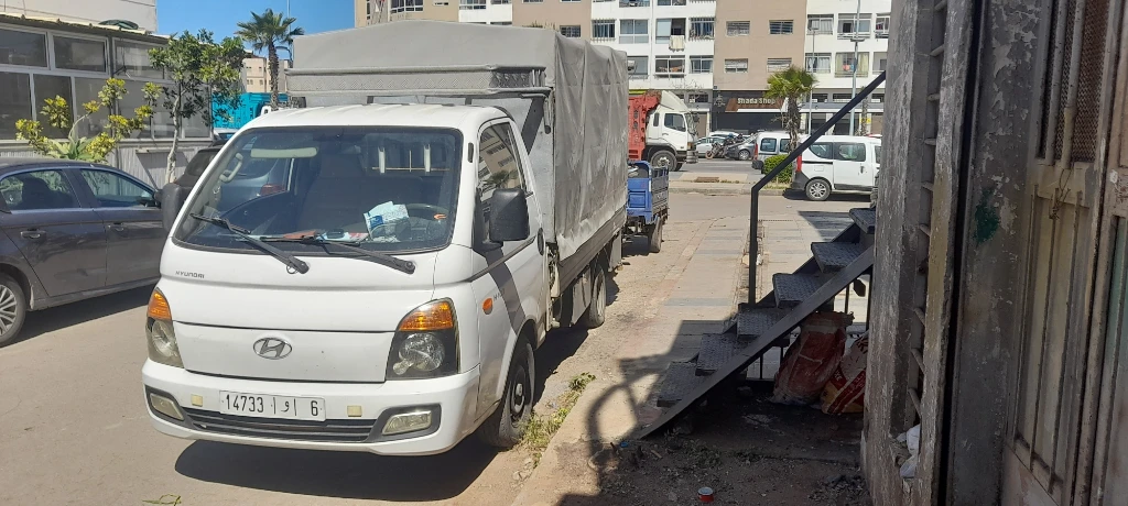 photo of Slita trans…