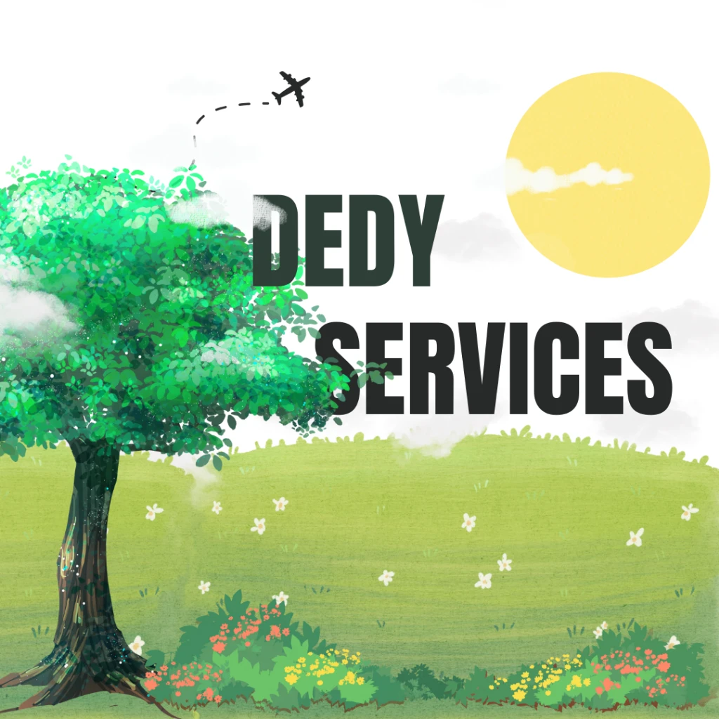 photo of DedyServices
