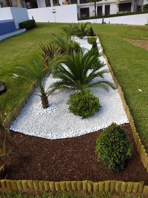 photo of البستنة و ت…